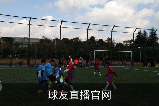 球友直播官网公司介绍图片